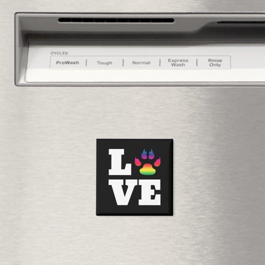 Regenboogpag Magneet (Insitu (Vaatwasser))