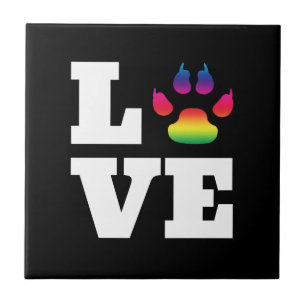 Regenboogpag Tegeltje