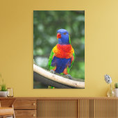 Regenboogparkiet Portret Canvas Afdruk (Insitu (Woonkamer))