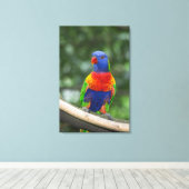 Regenboogparkiet Portret Canvas Afdruk (Insitu (Houten vloer))