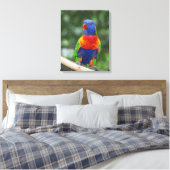 Regenboogparkiet Portret Canvas Afdruk (Insitu (Slaapkamer))