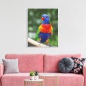 Regenboogparkiet Portret Canvas Afdruk (Insitu (Woonkamer))