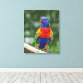 Regenboogparkiet Portret Canvas Afdruk (Insitu (Houten vloer))