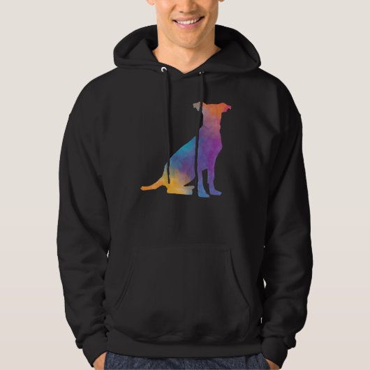 RegenboogPitbull Hoodie (Voorkant)