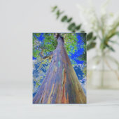 Regenboogpolie Briefkaart (Staand voorkant)