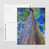 Regenboogpolie Briefkaart (Voorkant / Achterkant)