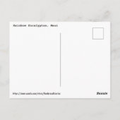 Regenboogpolie Briefkaart (Achterkant)