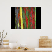 Regenboogpoliepen-1 Poster (Keuken)