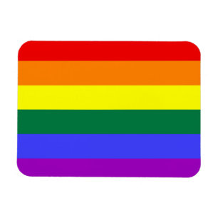 Regenboogpride Vlag Premium Magnet Magneet