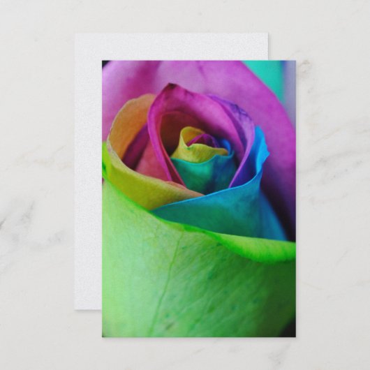 RegenboogRoos 5 Kaart (Voorkant / Achterkant)