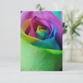 RegenboogRoos 5 Kaart (Staand voorkant)