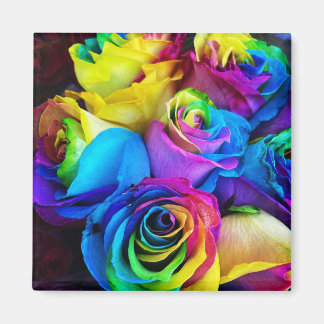 RegenboogRoos Magnet