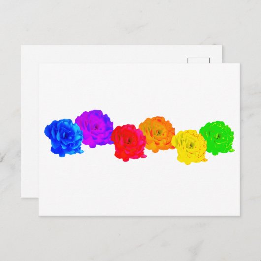 Regenboogrozen Briefkaart (Voorkant / Achterkant)