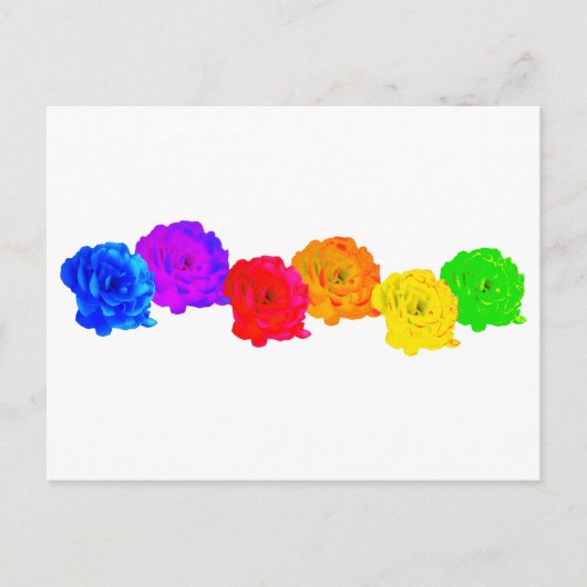 Regenboogrozen Briefkaart (Voorkant)