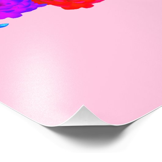 RegenboogRozen Foto Afdruk (Hoek)