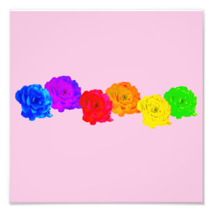 RegenboogRozen Foto Afdruk