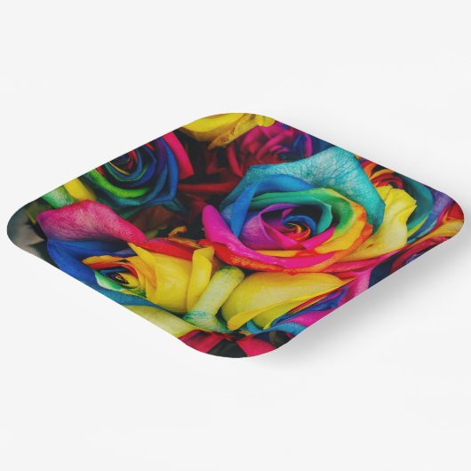 RegenboogRozen Papieren Bordje (Gebogen)