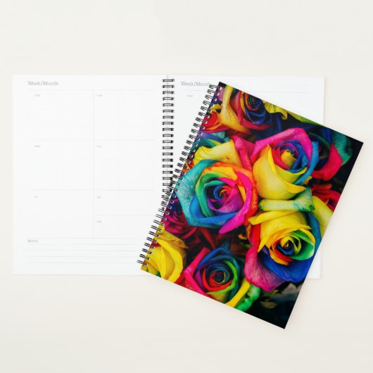 RegenboogRozen Planner (Display)