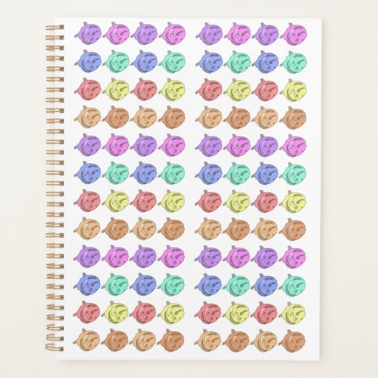 RegenboogRozen Planner (Voorkant)