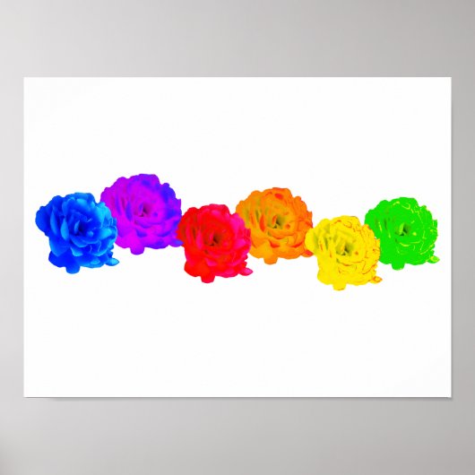 RegenboogRozen Poster (Voorkant)