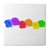 RegenboogRozen Tegeltje (Voorkant)