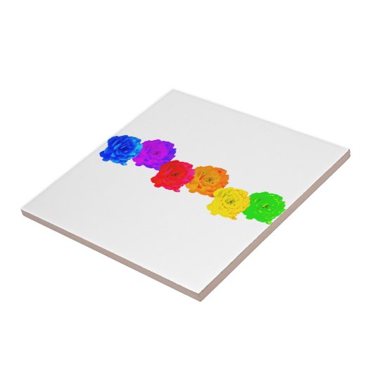 RegenboogRozen Tegeltje (Zijkant)