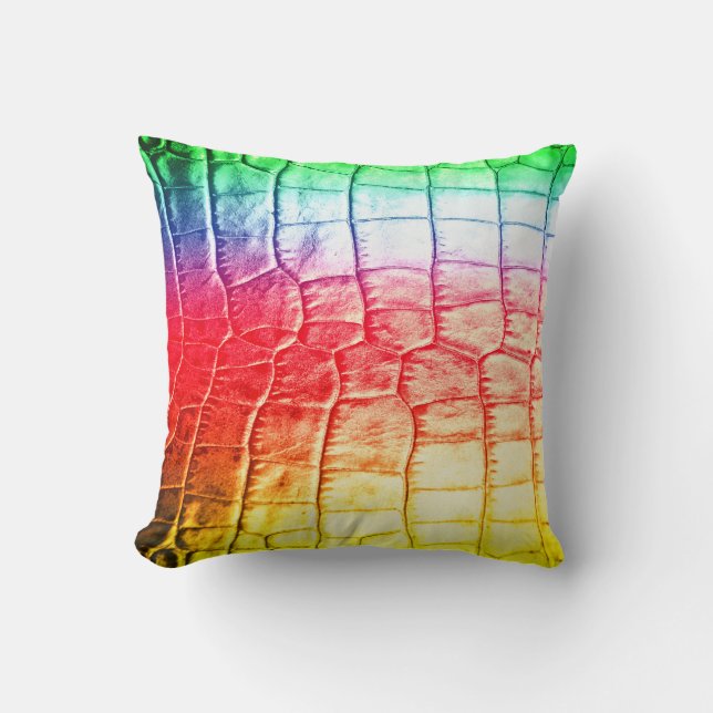 Regenboogschalen Kussen (Voorkant)