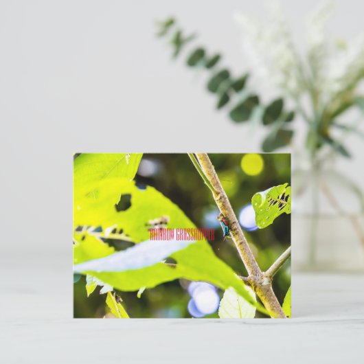 Regenboogsprinkhaan Briefkaart (Staand voorkant)