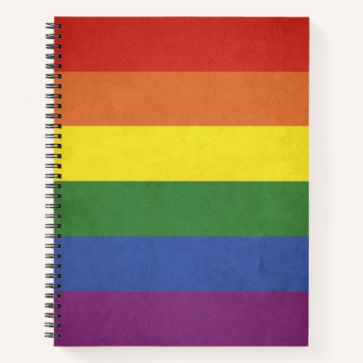 Regenboogstrepen Notitieboek (Voorkant)