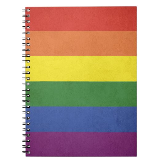 Regenboogstrepen Notitieboek (Voorkant)