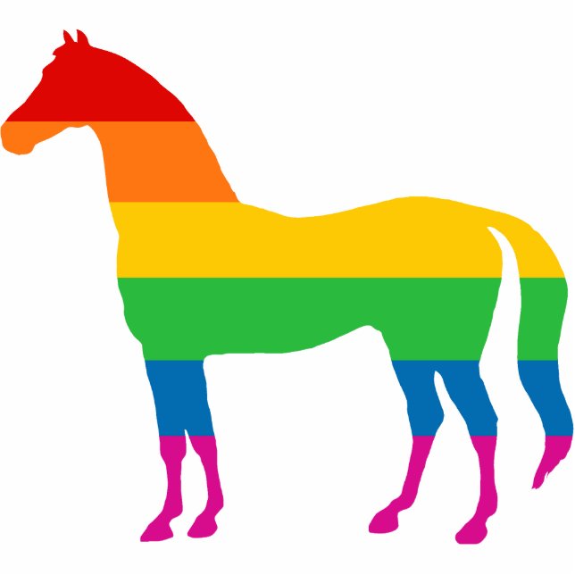 Regenboogstrips Fotobeeldje Ornament (Voorkant)