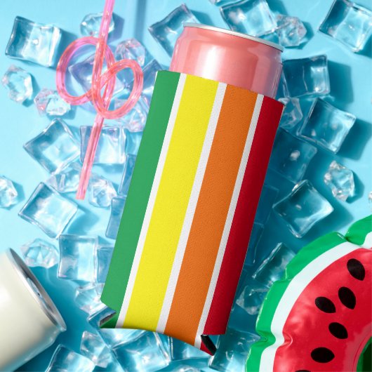 Regenboogstrips Seltzer Blikjeskoeler (Insitu Zomer)