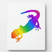 Regenboogstrips voor salamander fotoplaat (Voorkant)