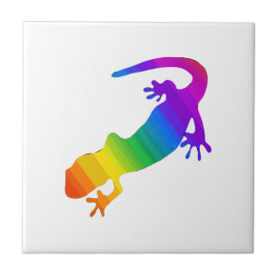 Regenboogstrips voor salamander tegeltje