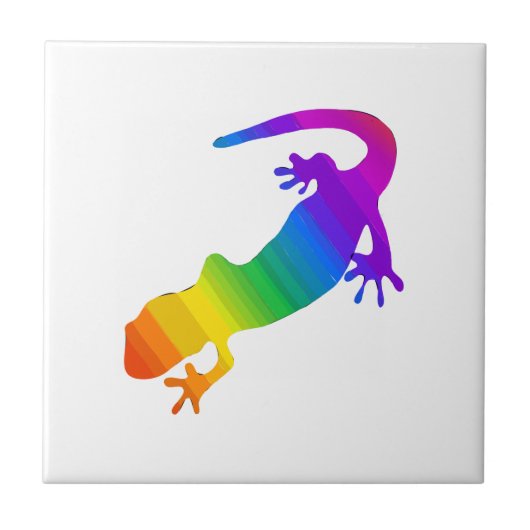 Regenboogstrips voor salamander tegeltje (Voorkant)