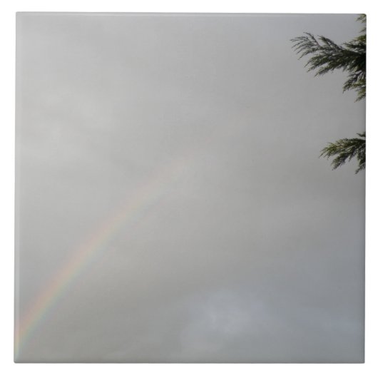 Regenboogtegel Tegeltje (Voorkant)