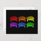 Regenboogturtels Briefkaart (Voorkant / Achterkant)