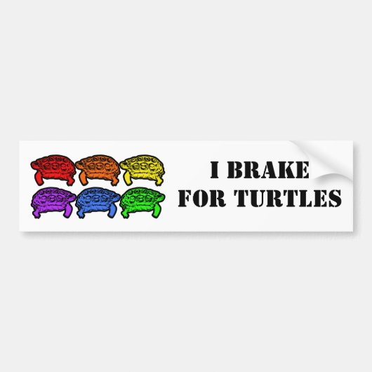 Regenboogturtels Bumpersticker (Voorkant)