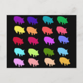 Regenboogvarkens Briefkaart (Voorkant)