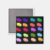 Regenboogvarkens Magneet (Voorkant / Achterkant)