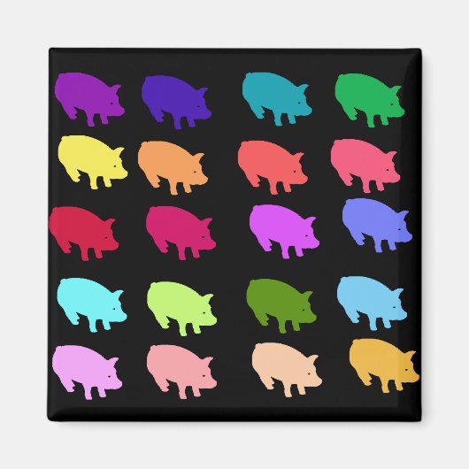 Regenboogvarkens Magneet (Voorkant)