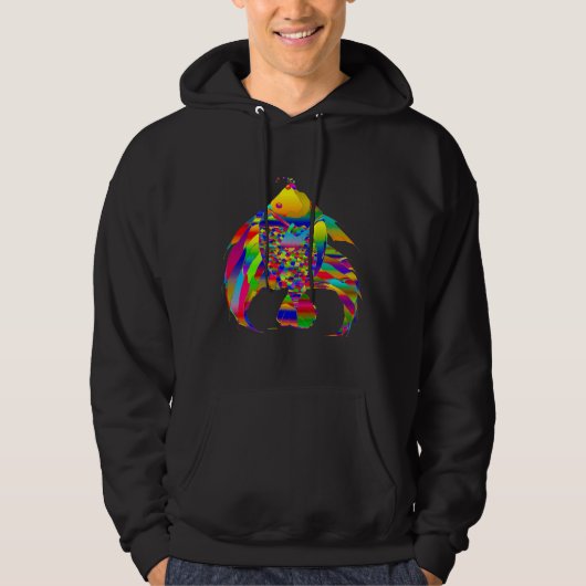 Regenboogvis 381 hoodie (Voorkant)