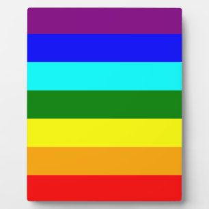 Regenboogvlag Fotoplaat