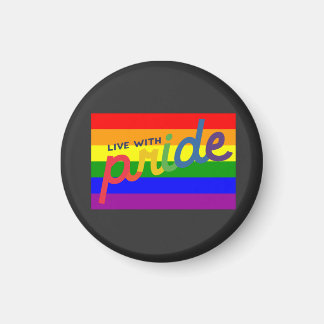 regenboogvlag magneet