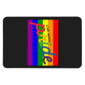 regenboogvlag magneet (Horizontaal)