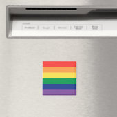 Regenboogvlag Magneet (Insitu (Vaatwasser))