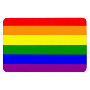Regenboogvlag / Pridevlag Magneet