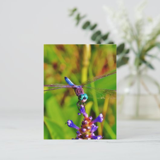 Regenboogvlieg en -bloem briefkaart (Staand voorkant)