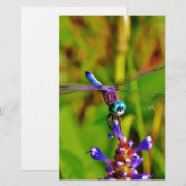 Regenboogvlieg en -bloem briefpapier (Voorkant / Achterkant)