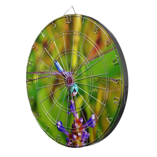 Regenboogvlieg en -bloem dartbord (Voorkant Rechts)